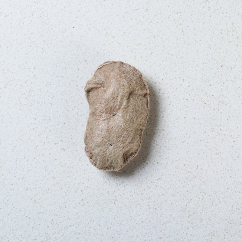 FMAGNET-000173_1.jpg